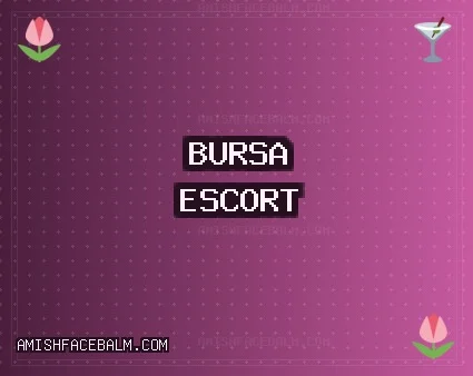 Bursa Escort: Mustafakemalpaşa Escort, Nilüfer Escort, Kestel Escort