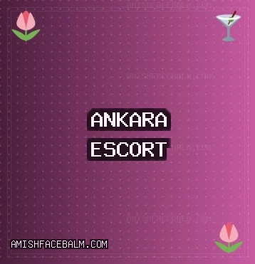 Ankara Escort: Kahramankazan Escort, Çubuk Escort, Haymana Escort